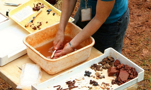 archaeologist working